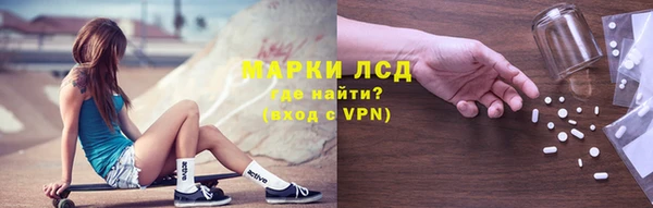 эйфоретик Баксан
